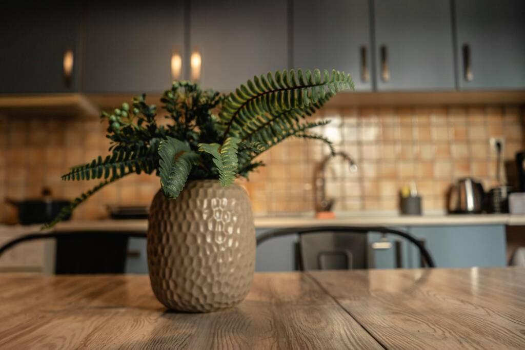 Aigli'S Urban Lodge Волос Екстериор снимка